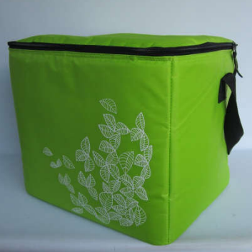 Travel Bag Green